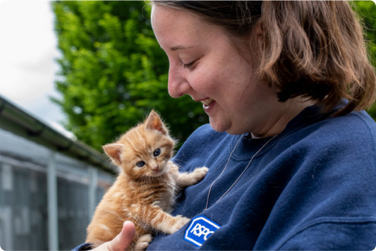 RSPCA animal care assistant holding a kitten.