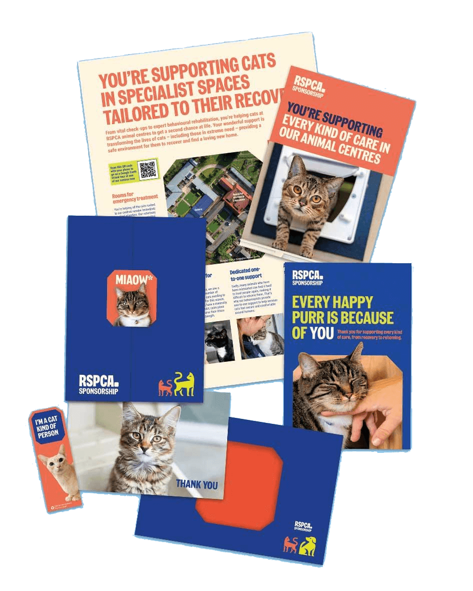 Various images of the RSPCA cat sponsorship welcome pack