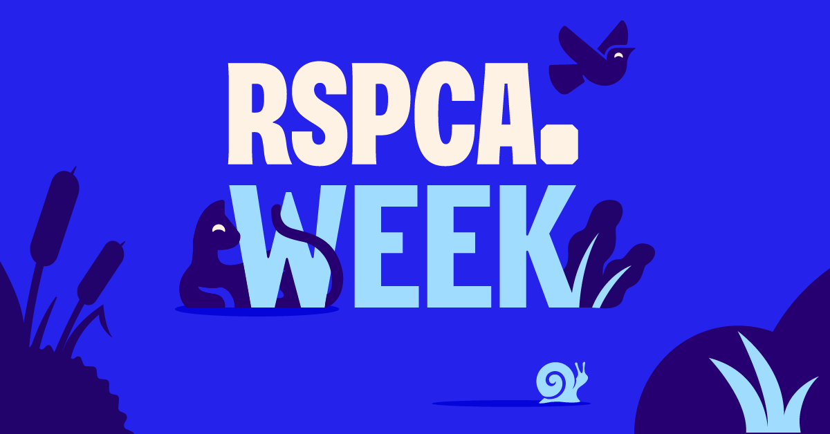 RSPCA week logo