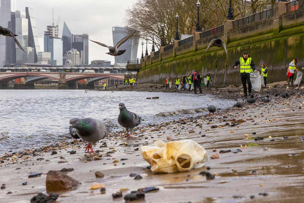 Pigeons and litter on a shingle beach with a group of people carrying out a beach clean in the background.
