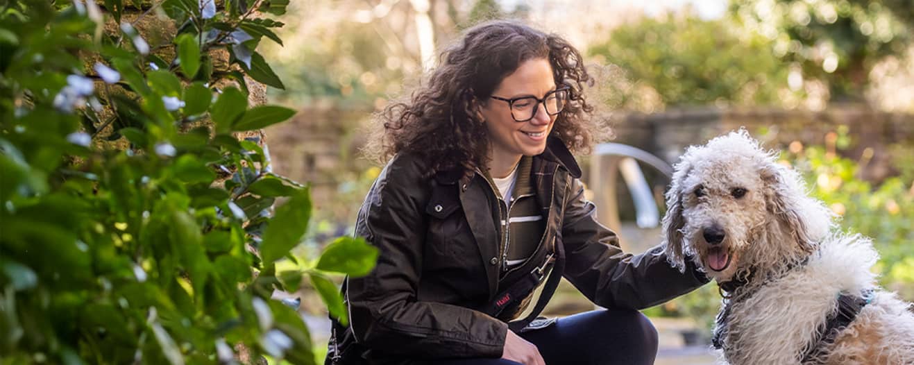 Bramley, a large fluffy mixed breed in the garden with his new owner.