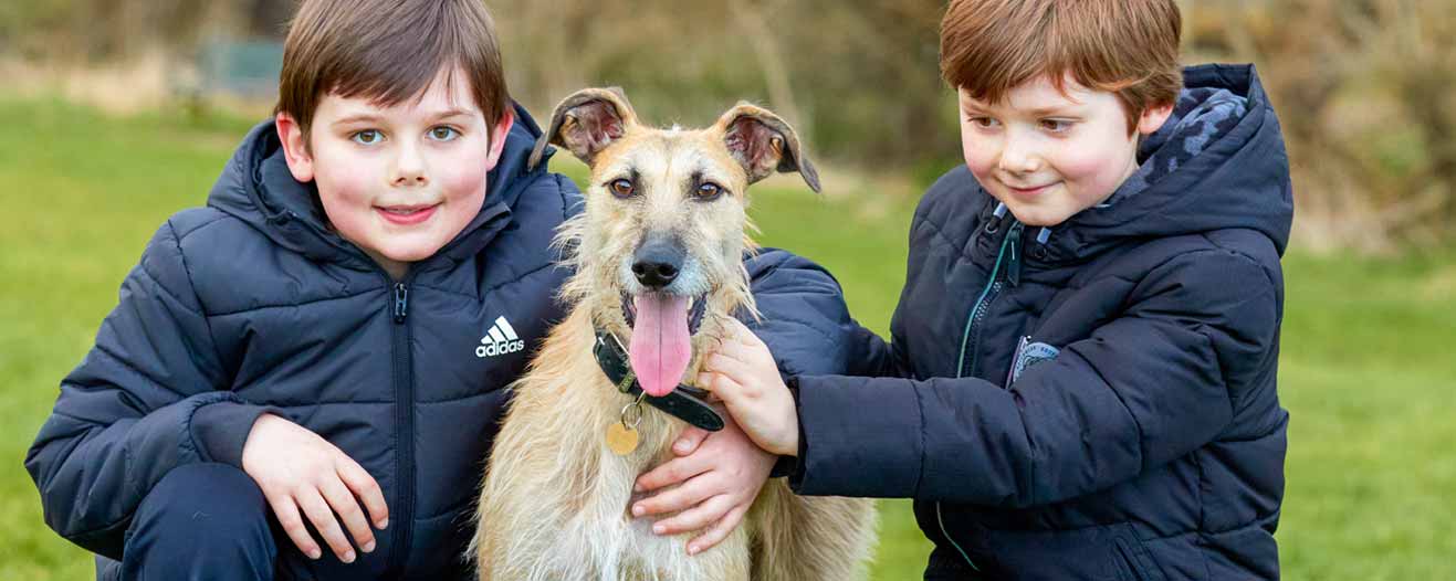 An abandoned lurcher dog called Bram with the children of his new owners outside.