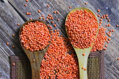 Red lentils on wooden spoons