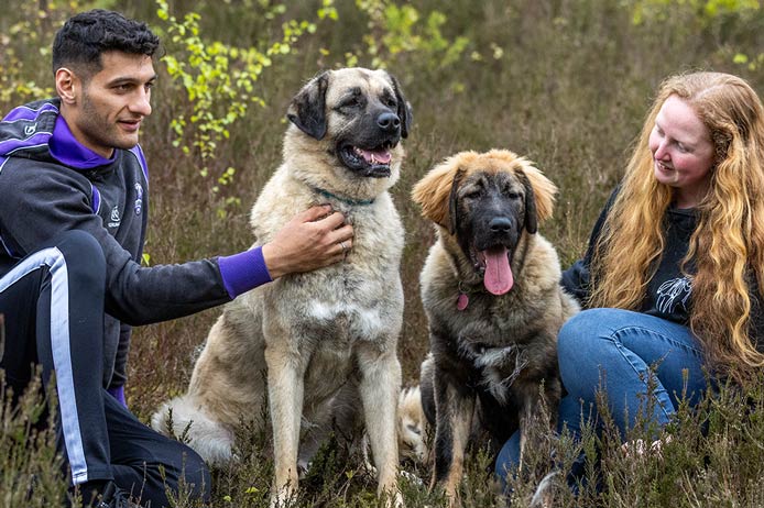 A man and a woman sit outdoors in a rugged heathland setting, accompanied by their two large, fluffy dogs.