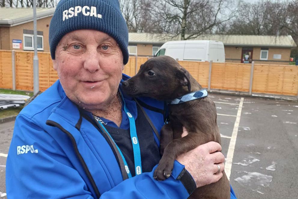 Animal rescue volunteer Graham holds a brown puppy outside an RSPCA centre.