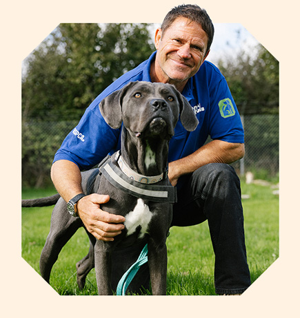 Steve Backshall, wearing a blue RSPCA polo shirt, kneels on the grass and smiles alongside a large grey dog.