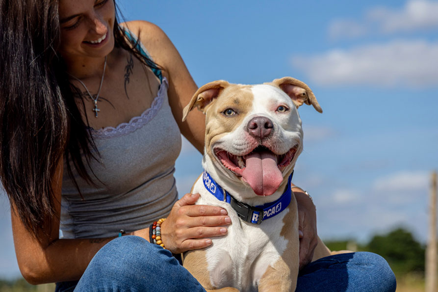 A smiling woman sits outdoors with Nova, a tan and white dog wearing a blue RSPCA collar.
