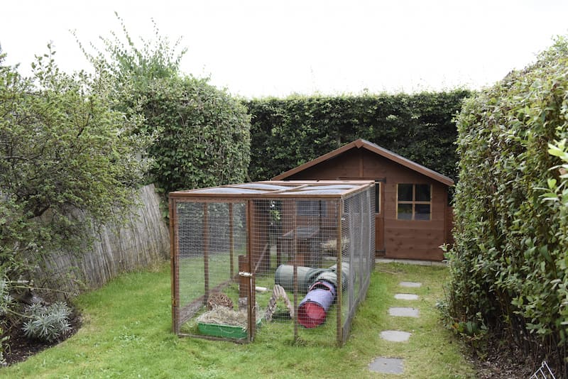 A secure rabbit enclosure and wooden shelter in a garden.