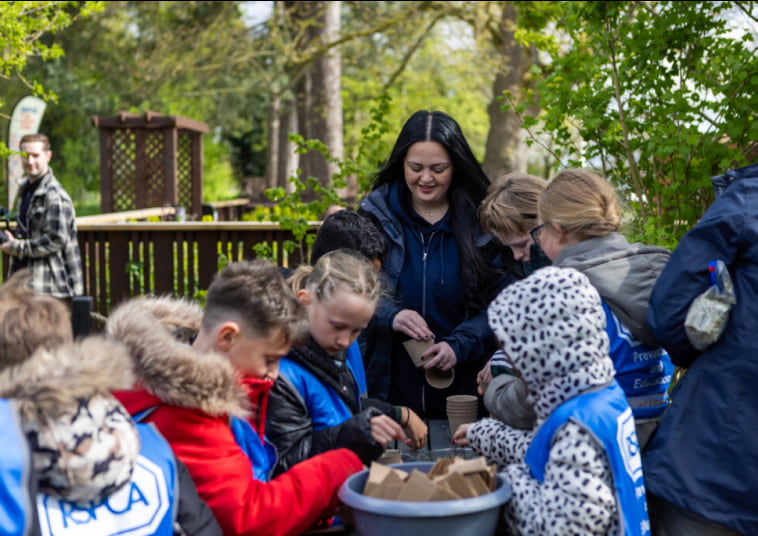 A class taking part in building a hedgehog home