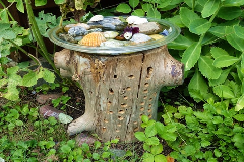 A rustic bird bath created from a tree stump along with a variety of shells and rockery. 
