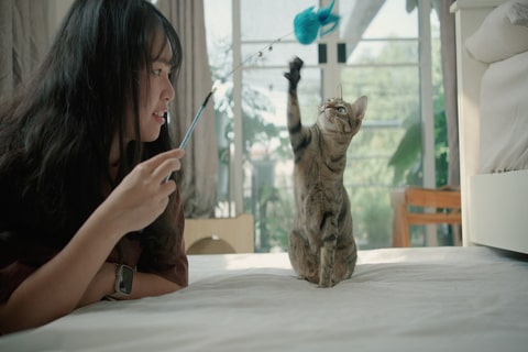 A woman engages in playful activity with a cat.