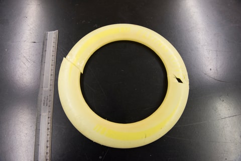 An open loop frisbee that was removed from a seal.