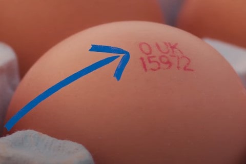 Image of an egg with a blue arrow pointing to the red egg code.