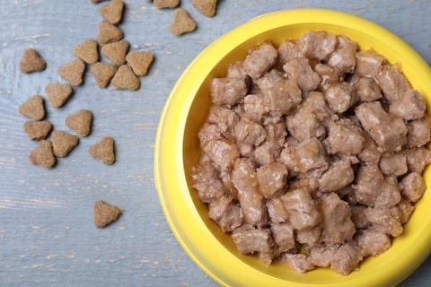 Image of wet hedgehog food in a yellow bowl, next to hedgehog dry food. 