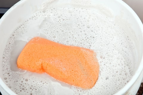 An orange sponge in a white bucket of soapy water. 