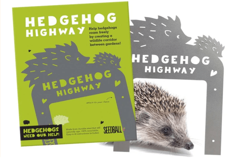 Hedgehog highway frame sold in the RSPCA store.