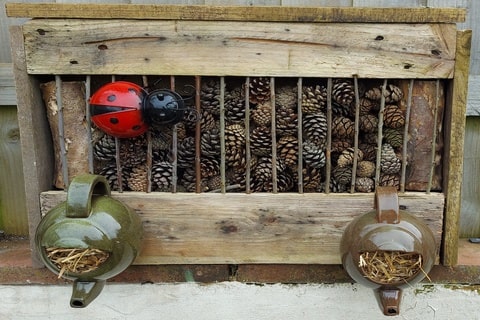 A ladybird home made from a wooden pallet, pine cones, logs and hay-filled teapots. 