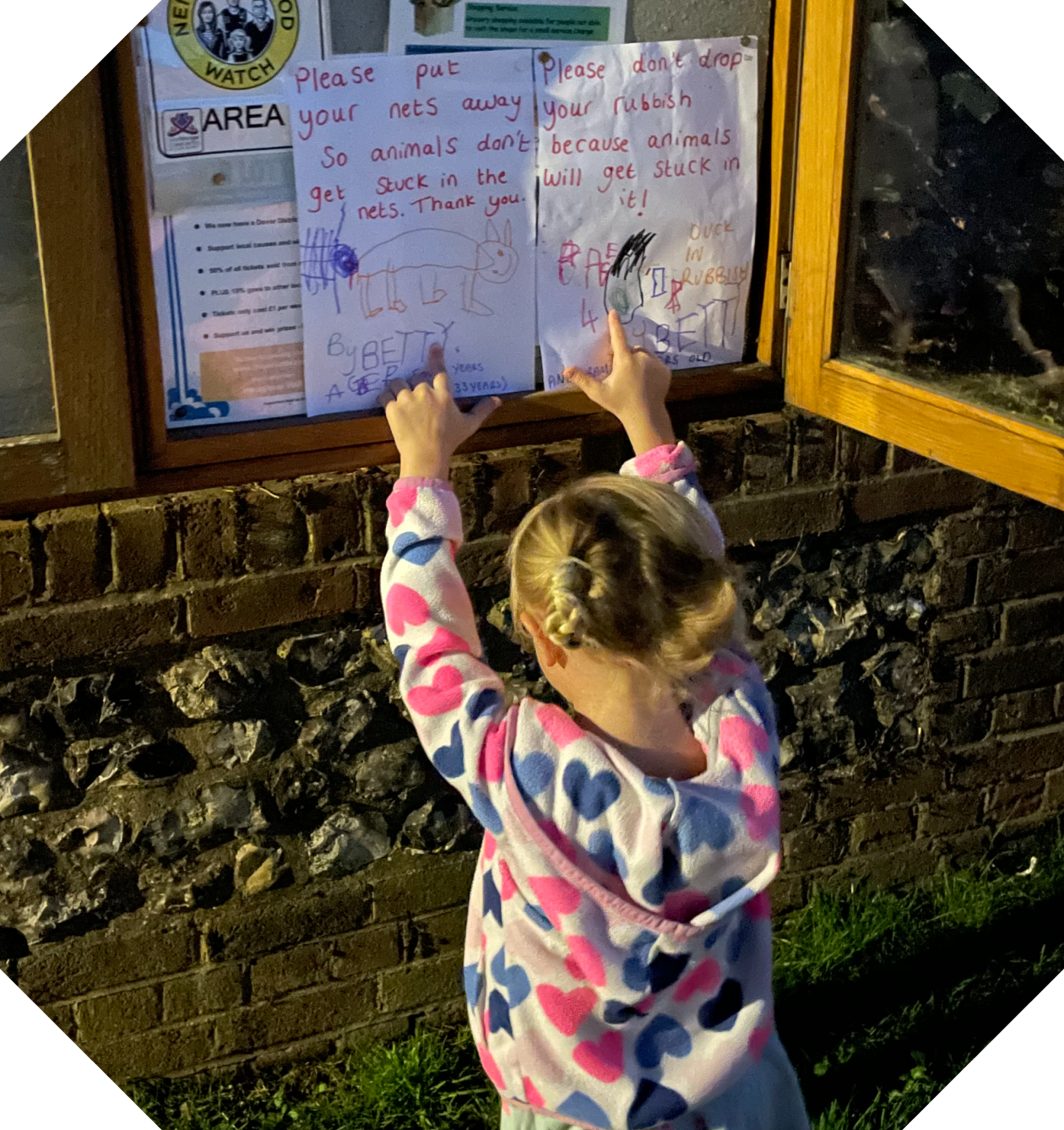 Home Education | Fun & Interactive Learning - Education - rspca.org.uk