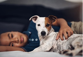 A dog and a young boy