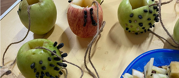 A seeded apple for birds