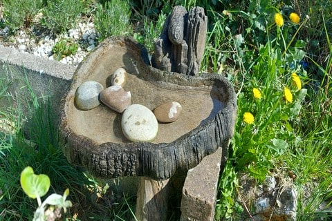 Bird water station set up with fresh water and pebbles.