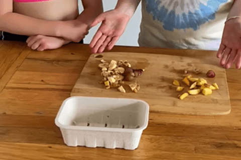 Young people chopping fruit for their butterfly café.
