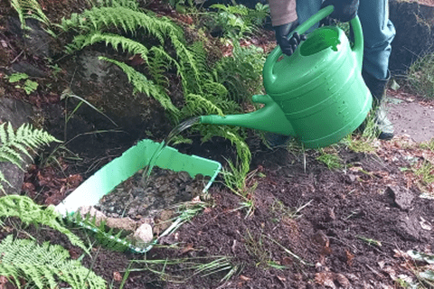 Filling the wildlife pond with rainwater.