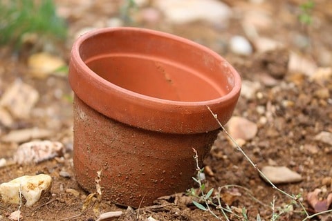 Terracotta pot to be used as a hideaway for frogs.