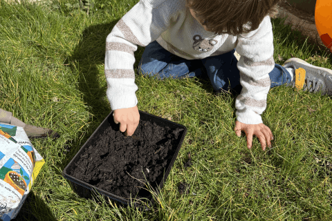 Young person sowing seeds in a seed tray to help wildlife.