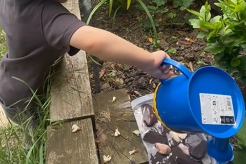 A young child pouring water from a watering can into a water station.