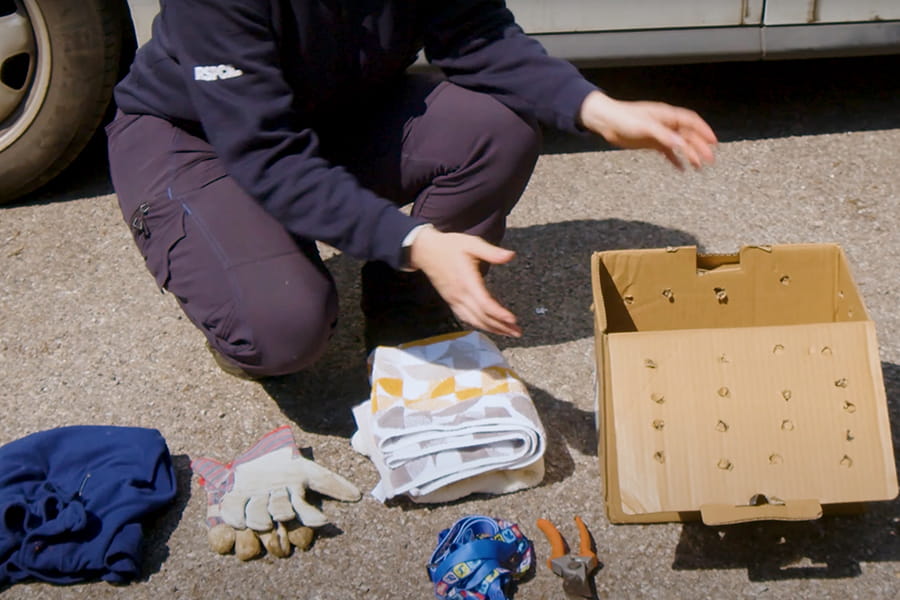 An RSPCA staff member placing items in a cardboard box.