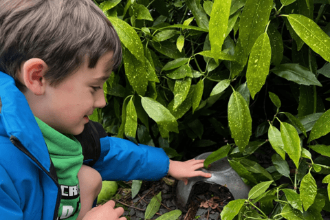 A young child placing a hideaway in a shrub in a garden.