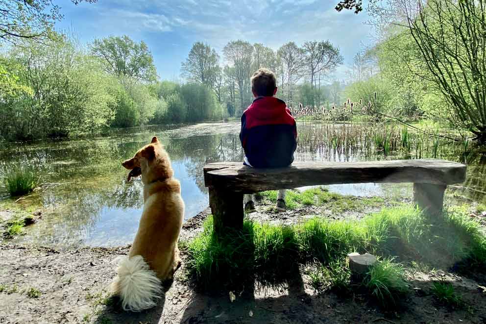 Boy sitting on bench opposite a large pond with a dog sitting next to him.