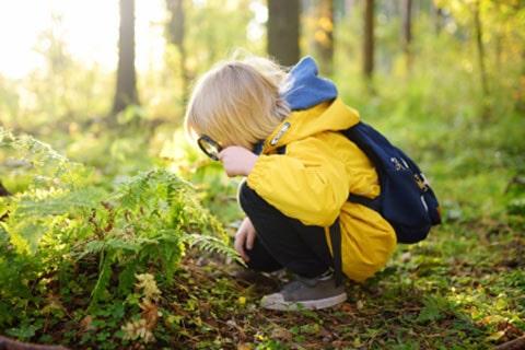 Boy inspecting wildlife with magnifying glass