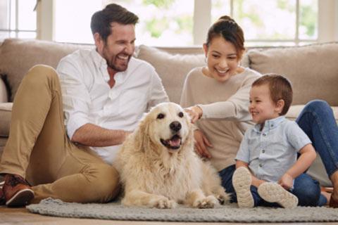 mum, dad, dog and little boy laughing together