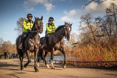 Two Police officers patrolling a public park on horseback.