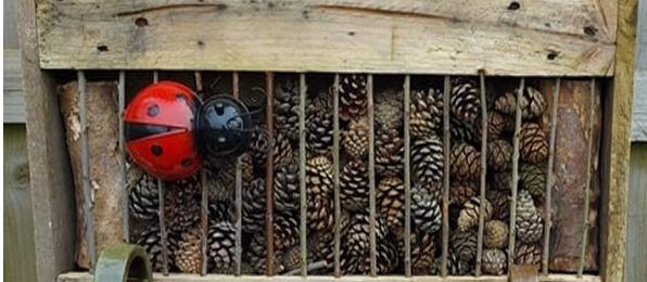 A ladybug house