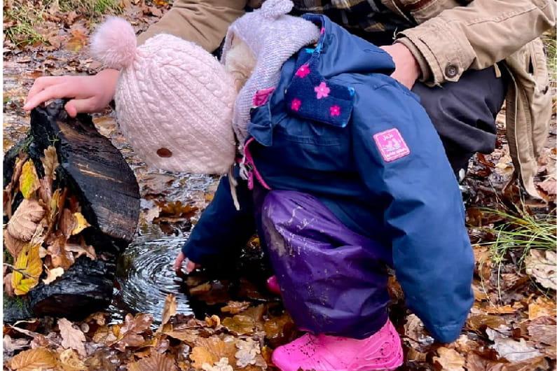 A child looking into a small puddle in a wooded area