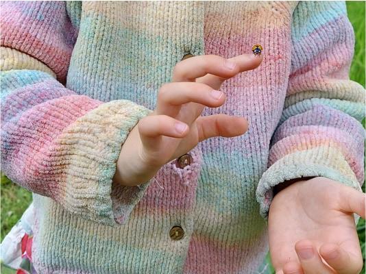 A ladybird on the finger of a young girl