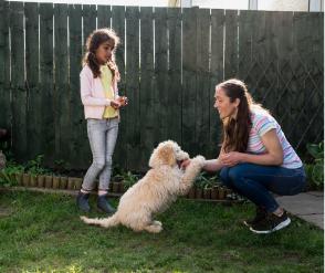 Two people, an adult and a child, playing with a white dog