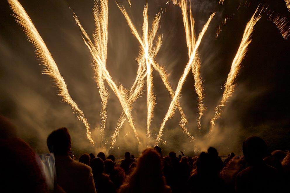 An organised firework display in Sussex.