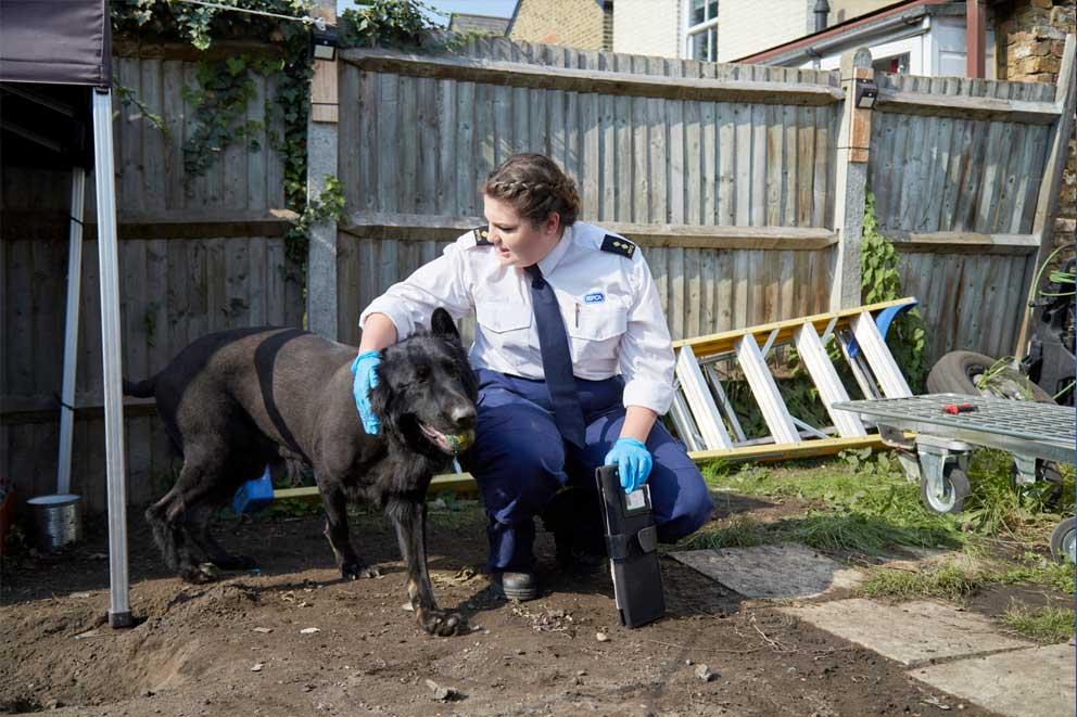 An RSPCA inspector in the back garden with a black dog.