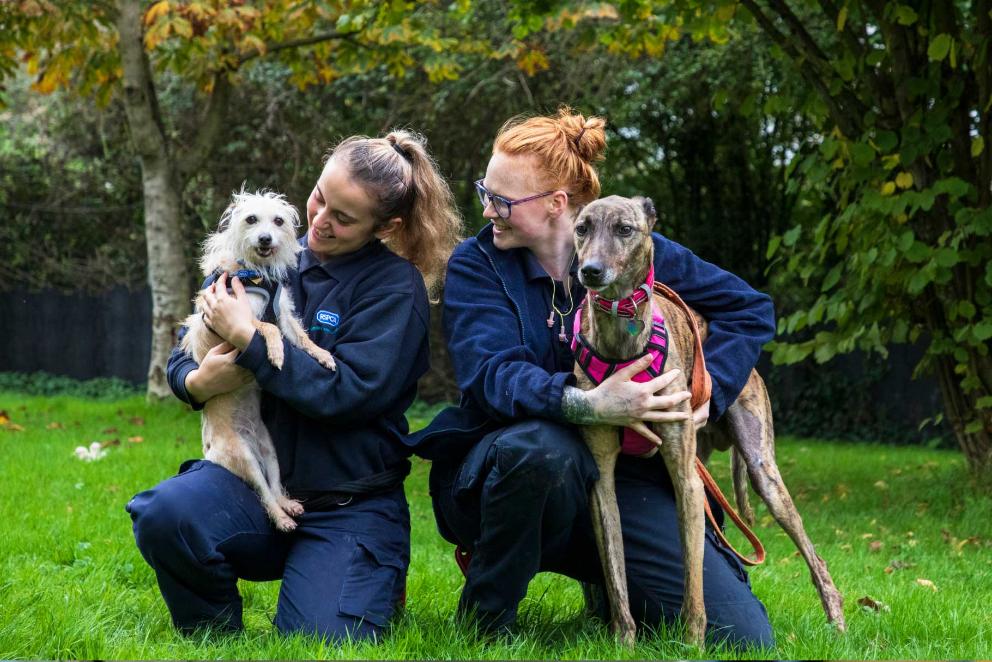 Two rescued dogs with animal care assistants ready to be rehomed.