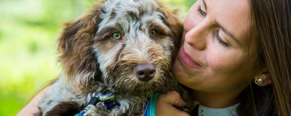 A rehomed puppy named Reggie enjoying a cuddle with his new ownder.