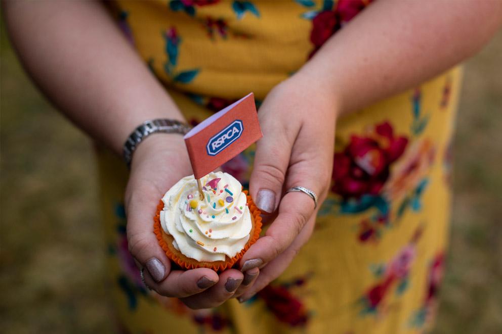 Frosted cup cake with an RSPCA flag as a decoration held in a person's hands.