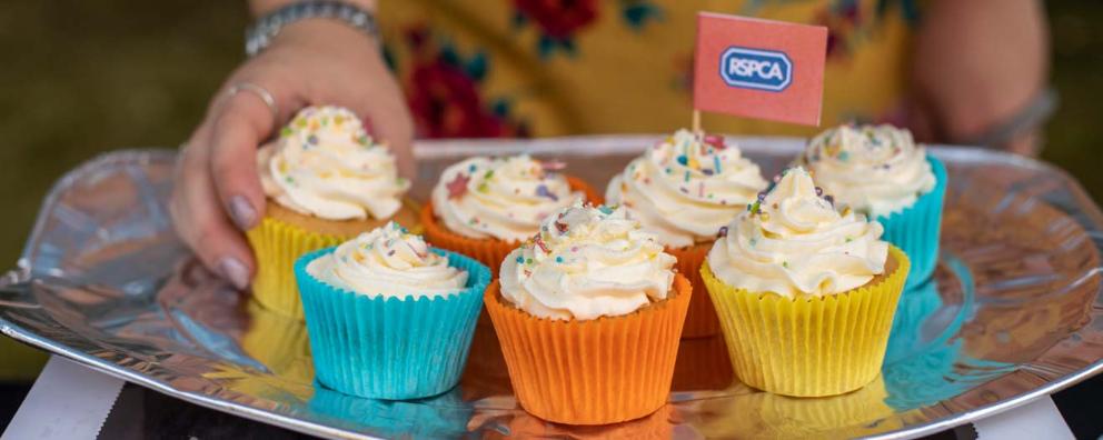 Homemade cupcakes prepared for an RSPCA cake bake sale.