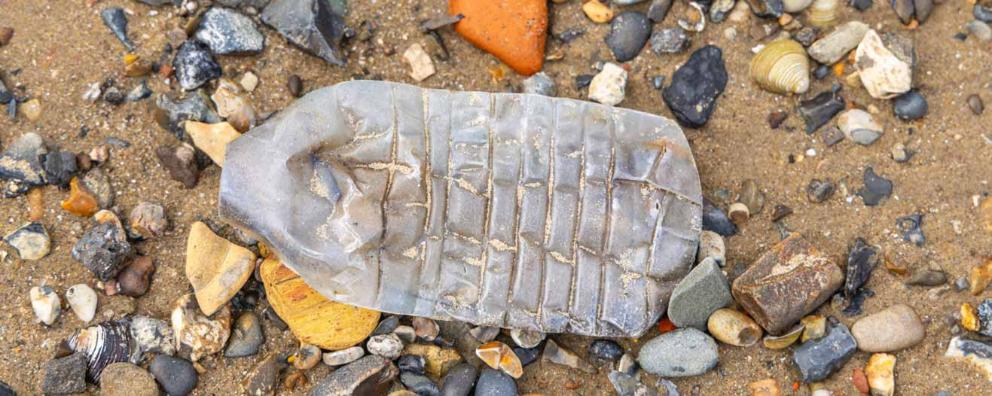 A discarded plastic bottle on the riverbank.