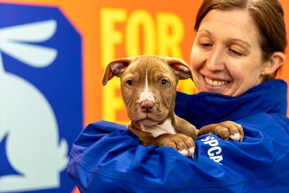 RSPCA inspector holding a rescued puppy in her arms.