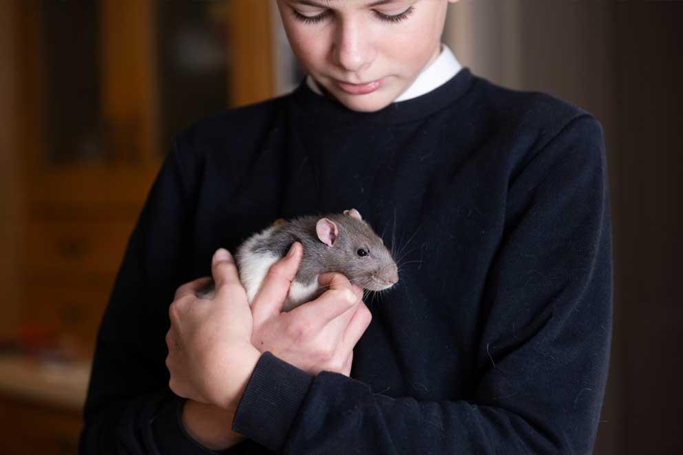 A boy holding his pet rat in his hands.