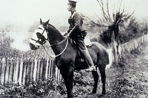 RSPCA Inspector sitting on horse working with the Army Veterinary Corps France undated circa 1915.